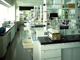 lab